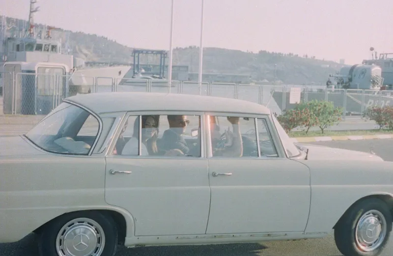 License Plate Bingo and the Great Cow Count: When Road Trip Entertainment Required Nothing But Windows and Imagination